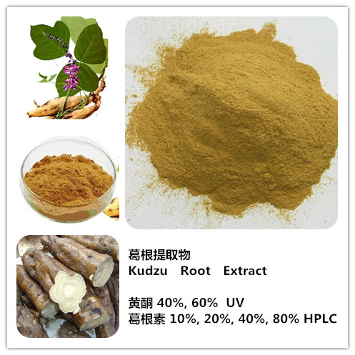 Pueraria extract